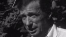 Le-diable-par-la-queue-Yves-Montand